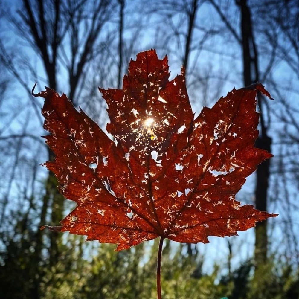 Meet your Posher, Ann-marie sissy